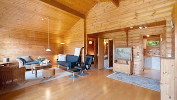 Fernseher, Stereoanlage