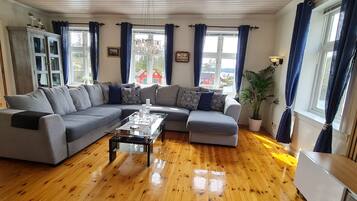 Smart-tv, eldstad, dvd-spelare och böcker