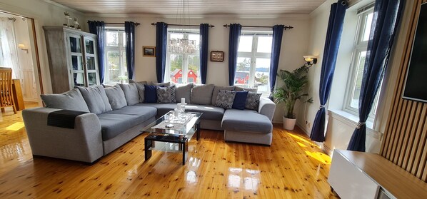 Smart TV, fireplace, DVD player, books