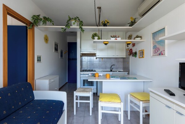 Fridge, stovetop, cookware/dishes/utensils