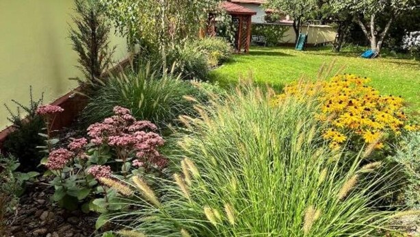 Un jardín con diversas plantas y una pequeña construcción.