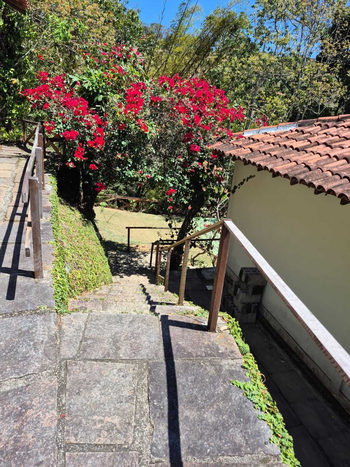 Una escalera de piedra conduce a un edificio con tejado de azulejos, rodeado de follaje y un arbusto en flor.