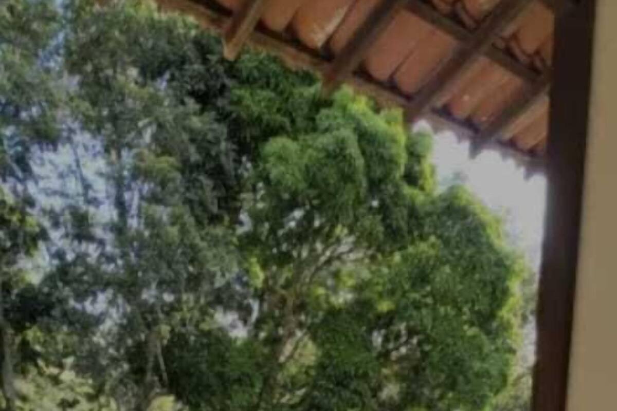 Eine Hängematte auf einem Balkon mit Blick auf Bäume und ein Fliesenboden.
