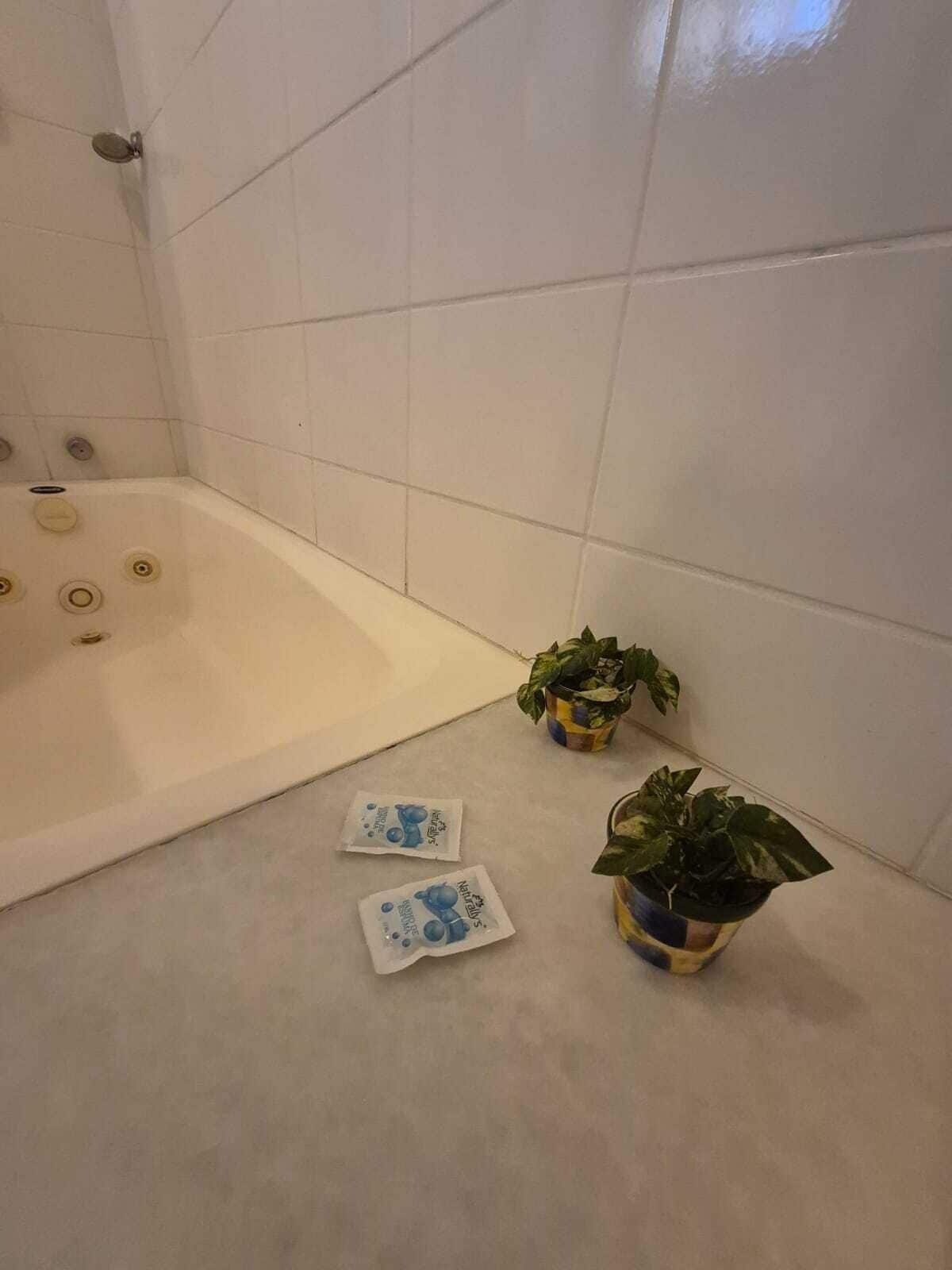 A bathroom with a bathtub, two potted plants, and two packets on the floor.