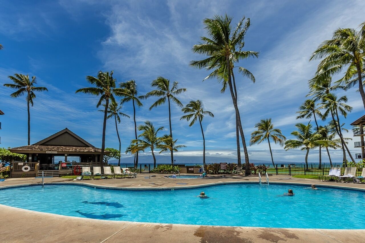 Una piscina con palmeras y un edificio al fondo.