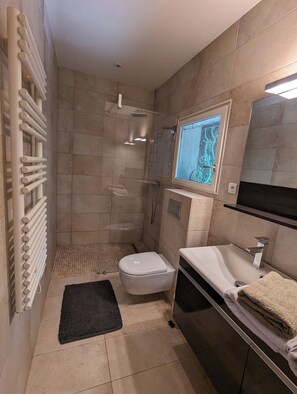 Eco-friendly toiletries, hair dryer, towels, toilet paper