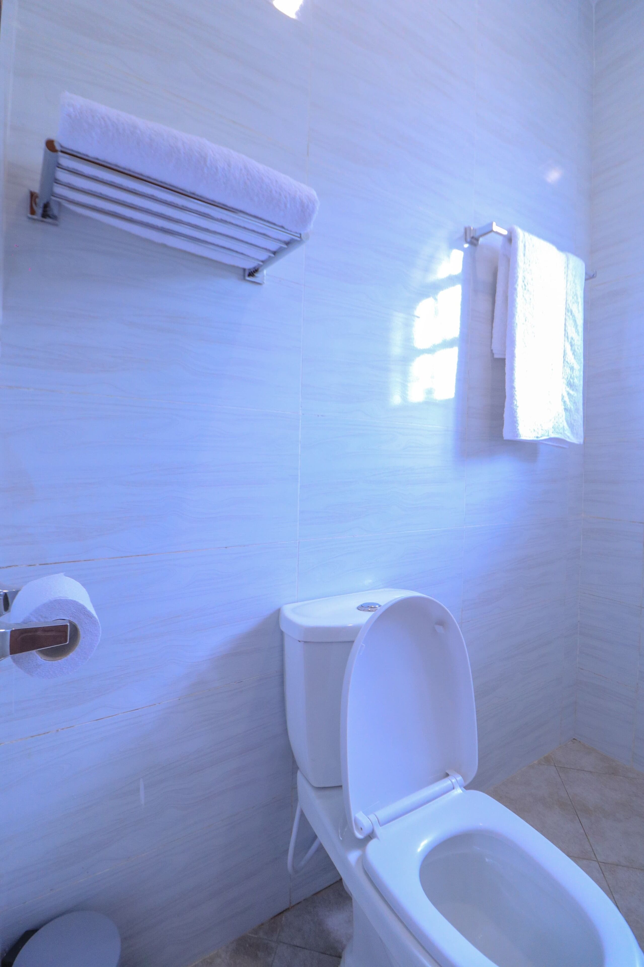 A bathroom with a toilet, a towel rack, and a toilet paper holder.