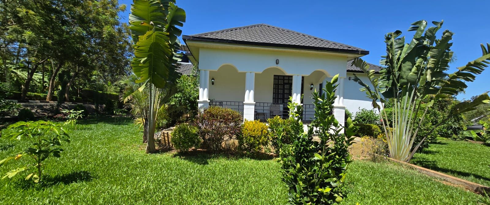 A white house with a tiled roof, surrounded by lush greenery and banana plants.