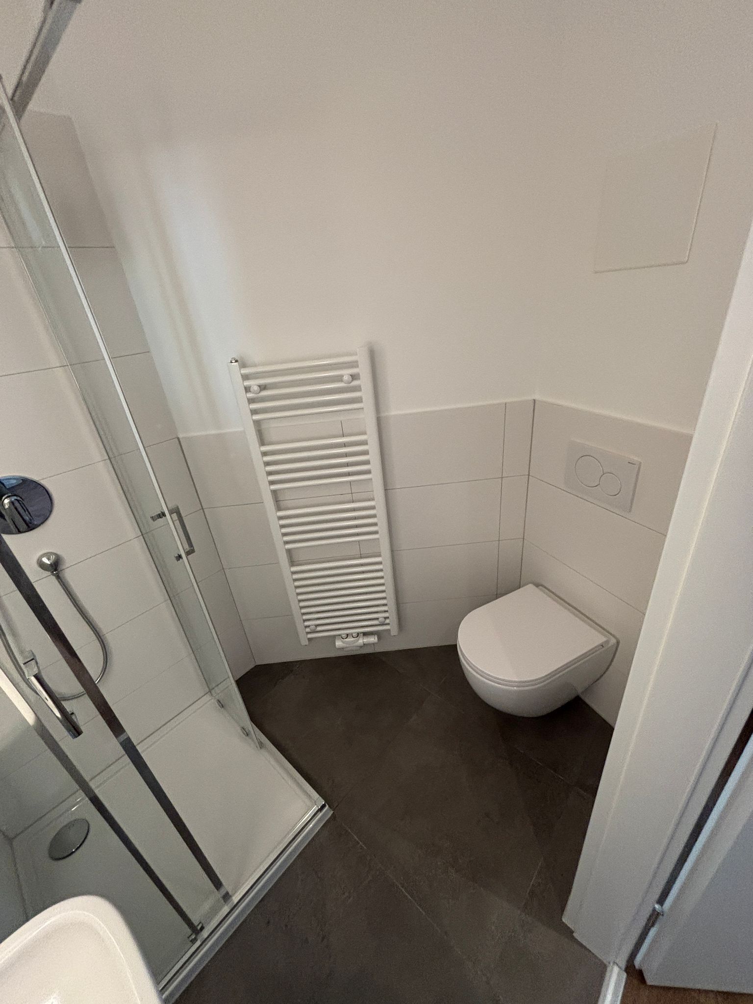 A bathroom with a glass shower enclosure, a white toilet, and a white towel rack.