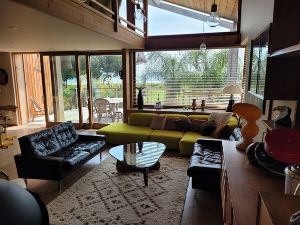 TV, fireplace, books