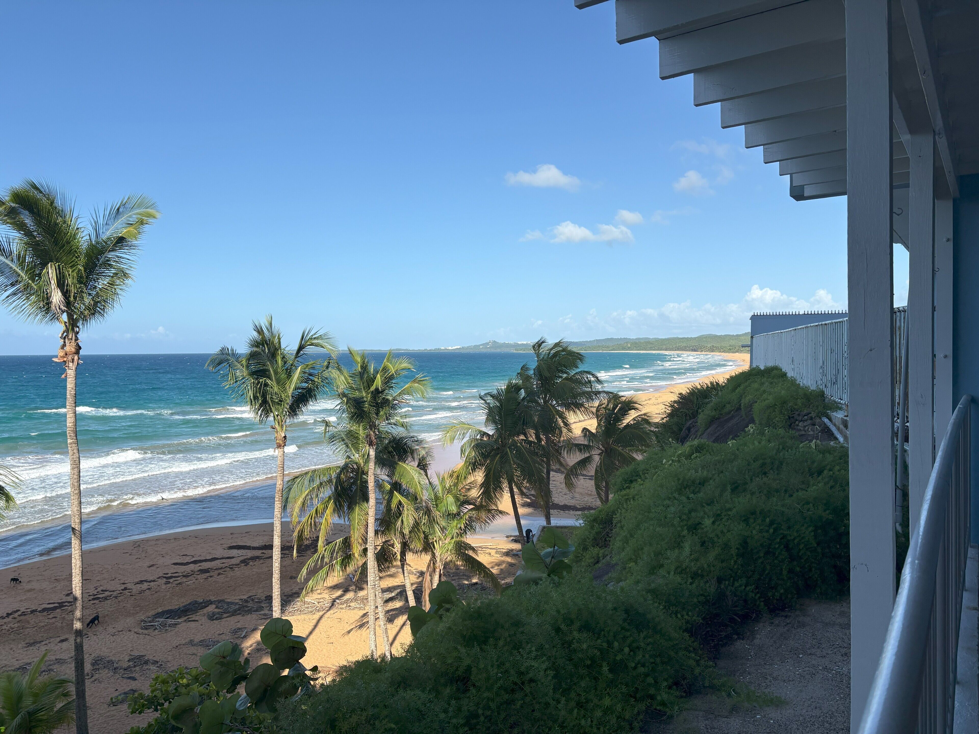 Lettini da mare, teli da spiaggia