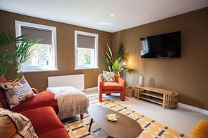 Fernseher, Arbeitsbereiche