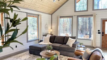 Smart TV y chimenea