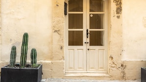 Una puerta blanca con paneles de vidrio y una pequeña ventana, el número 7 en la pared, y tres cactus en una maceta.