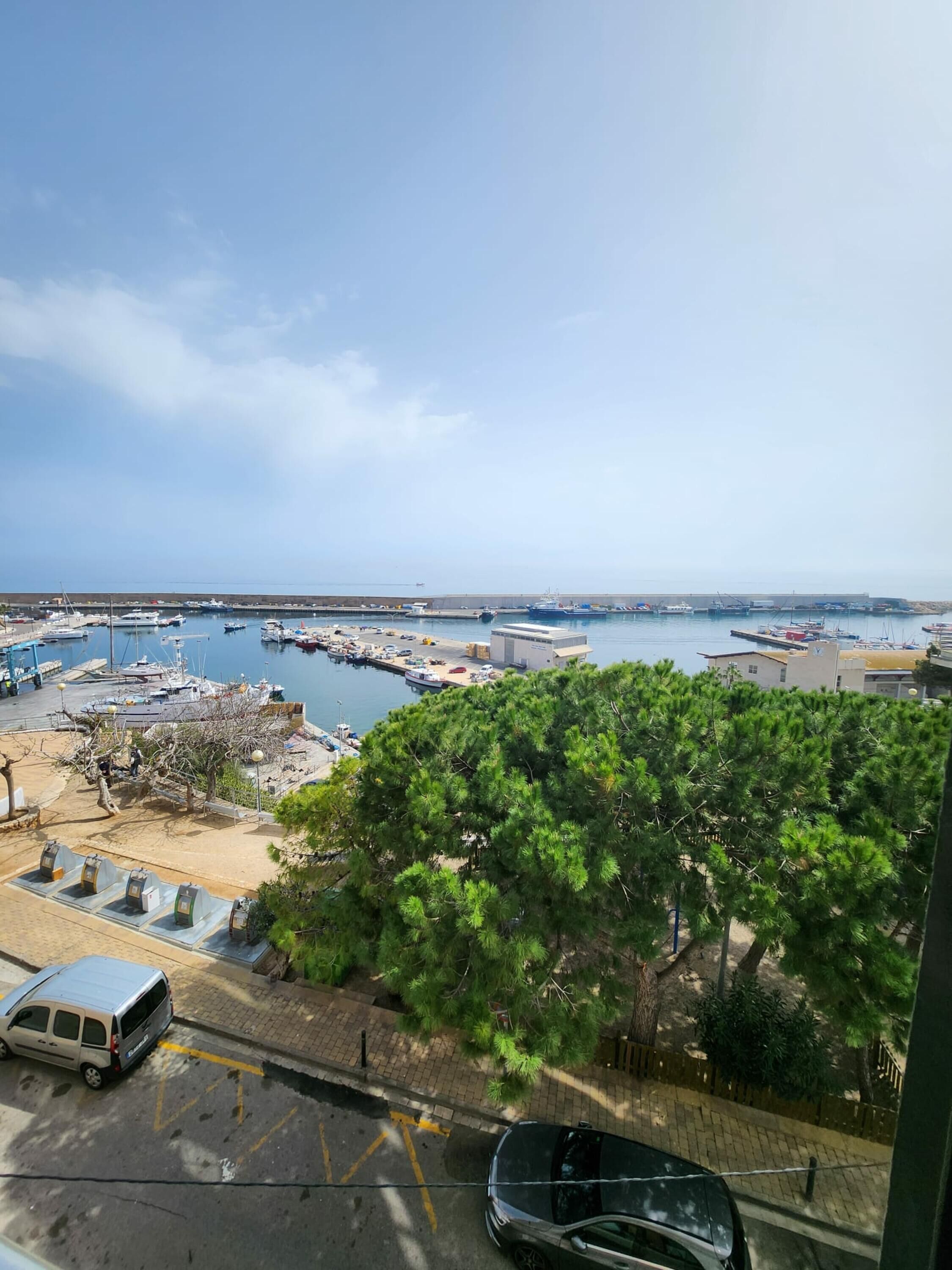 Un puerto deportivo con barcos amarrados, cielo despejado y una calle bordeada de árboles.