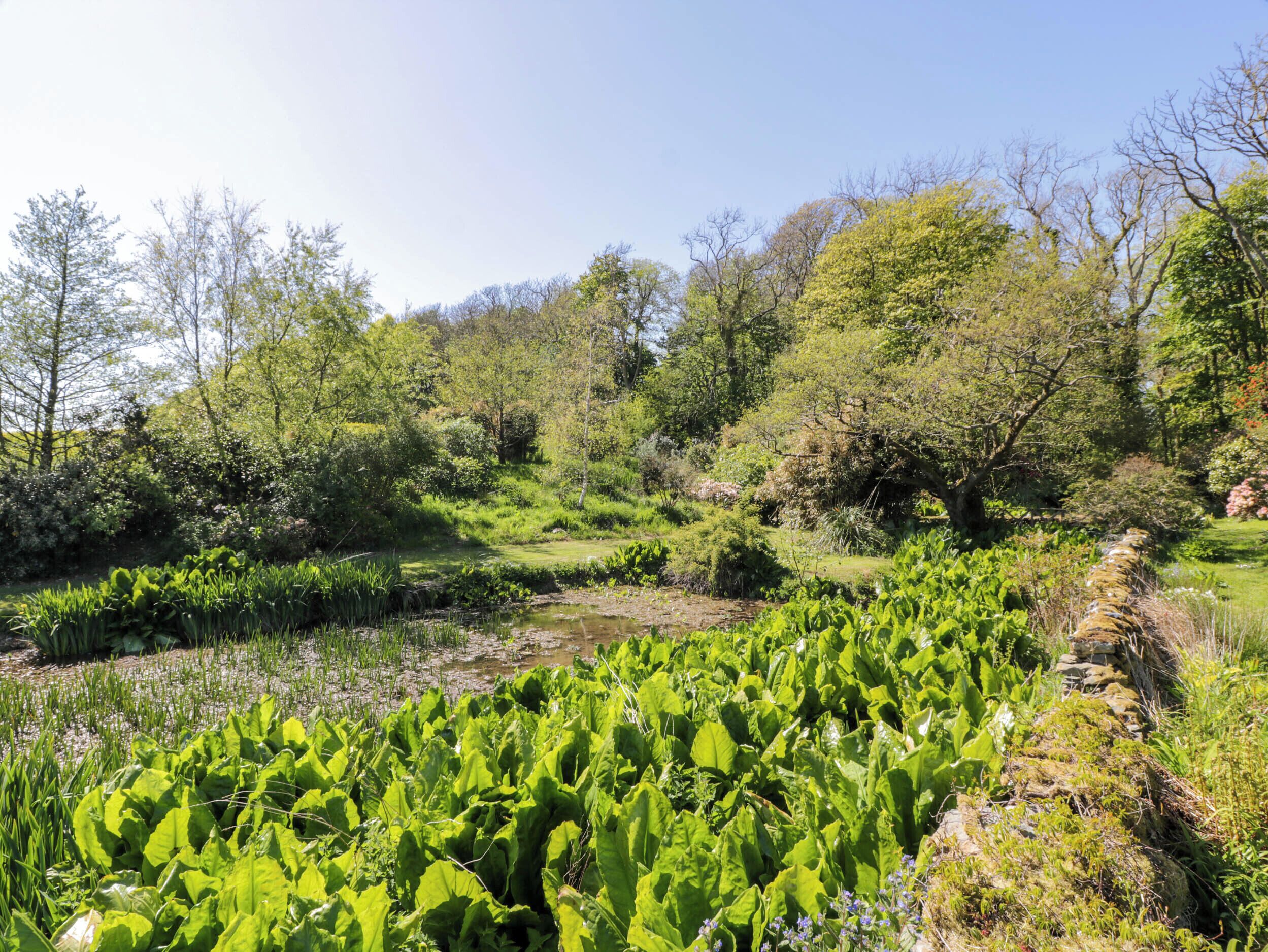 Parco della struttura
