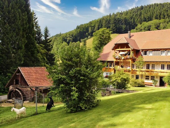 Exterior - Apartment '1 Zimmer' with Mountain View, Shared Terrace and Wi-Fi (Bad Peterstal-Griesbach)