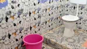 Ein Badezimmer mit Toilette, einem rosafarbenen Eimer und einer Wand, die mit Kieselsteinen und Fischen verziert ist.