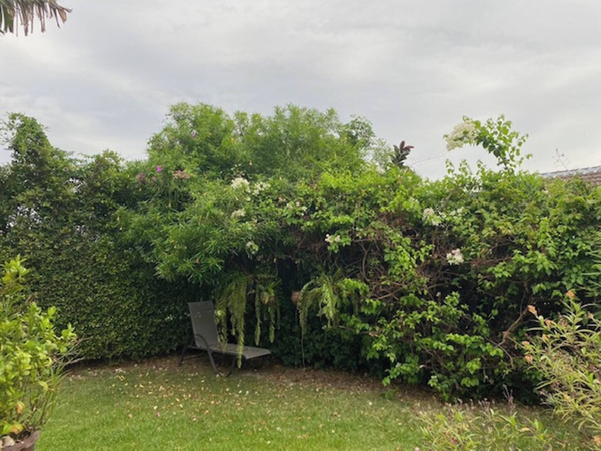 Jardin
