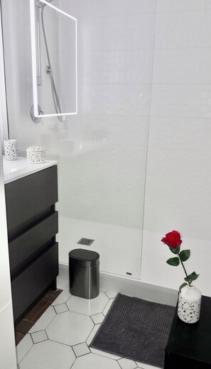 Ducha, secador de pelo y papel higiénico