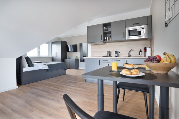 Deluxe Apartment, 2 Twin Beds, Balcony | Private kitchen | Fridge, microwave, stovetop, electric kettle