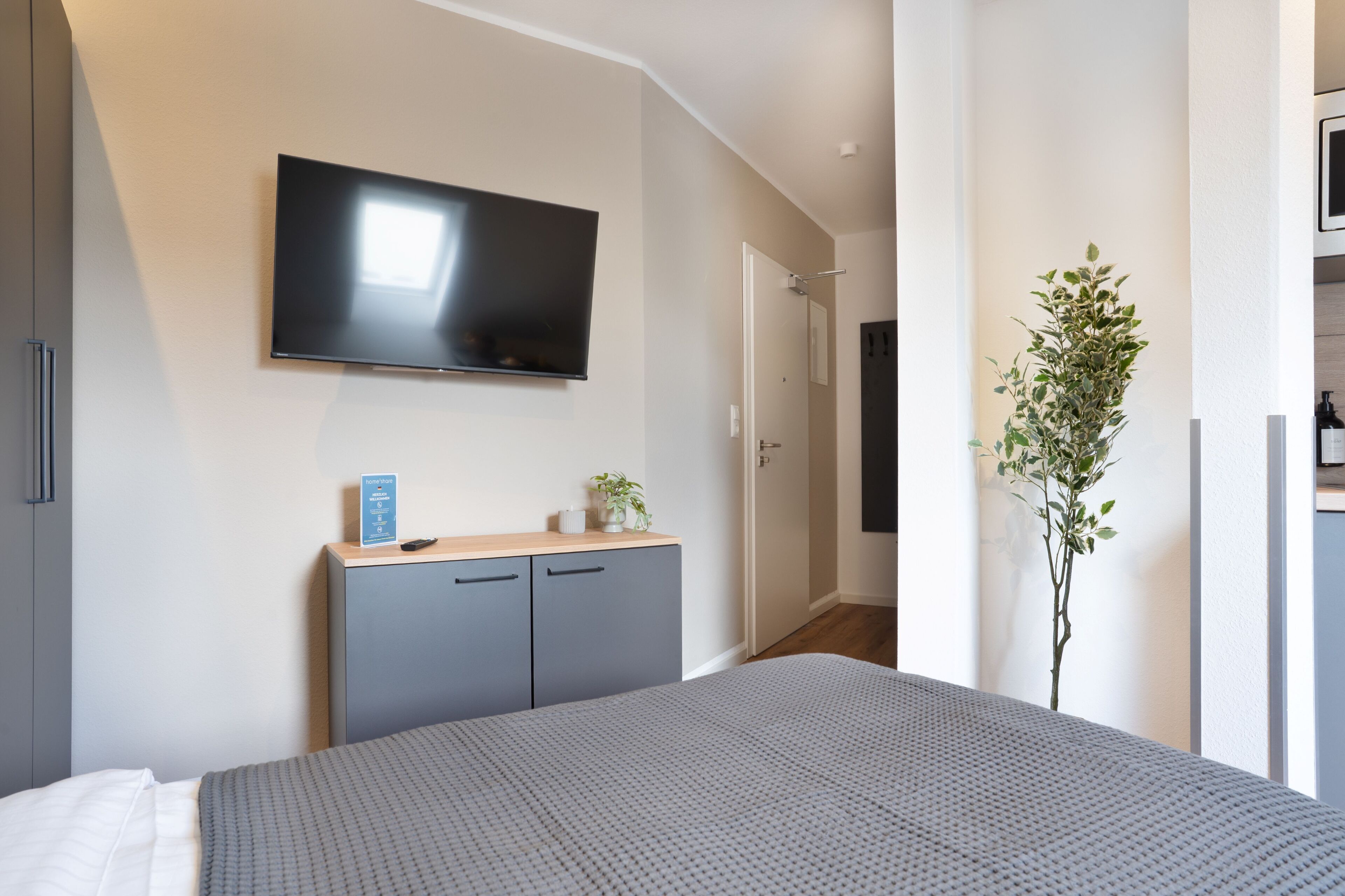 Una habitación de hotel moderna con una cama grande, un televisor de pantalla plana montado en la pared, un escritorio pequeño con una planta y una puerta que da a un baño.