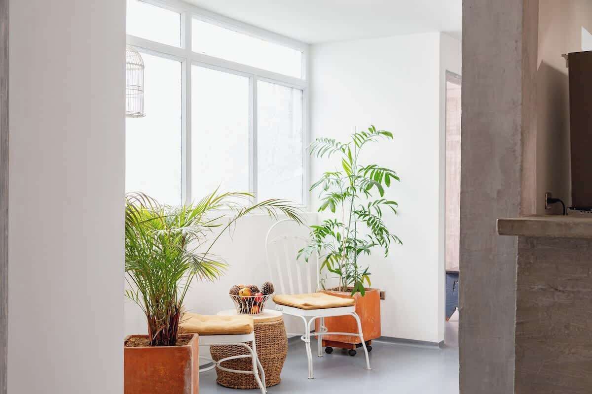 Una habitación luminosa con ventanas grandes, una silla blanca, una mesa de madera y varias plantas en macetas.