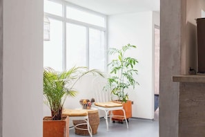 A bright room with large windows, a white chair, a wooden table, and several potted plants.