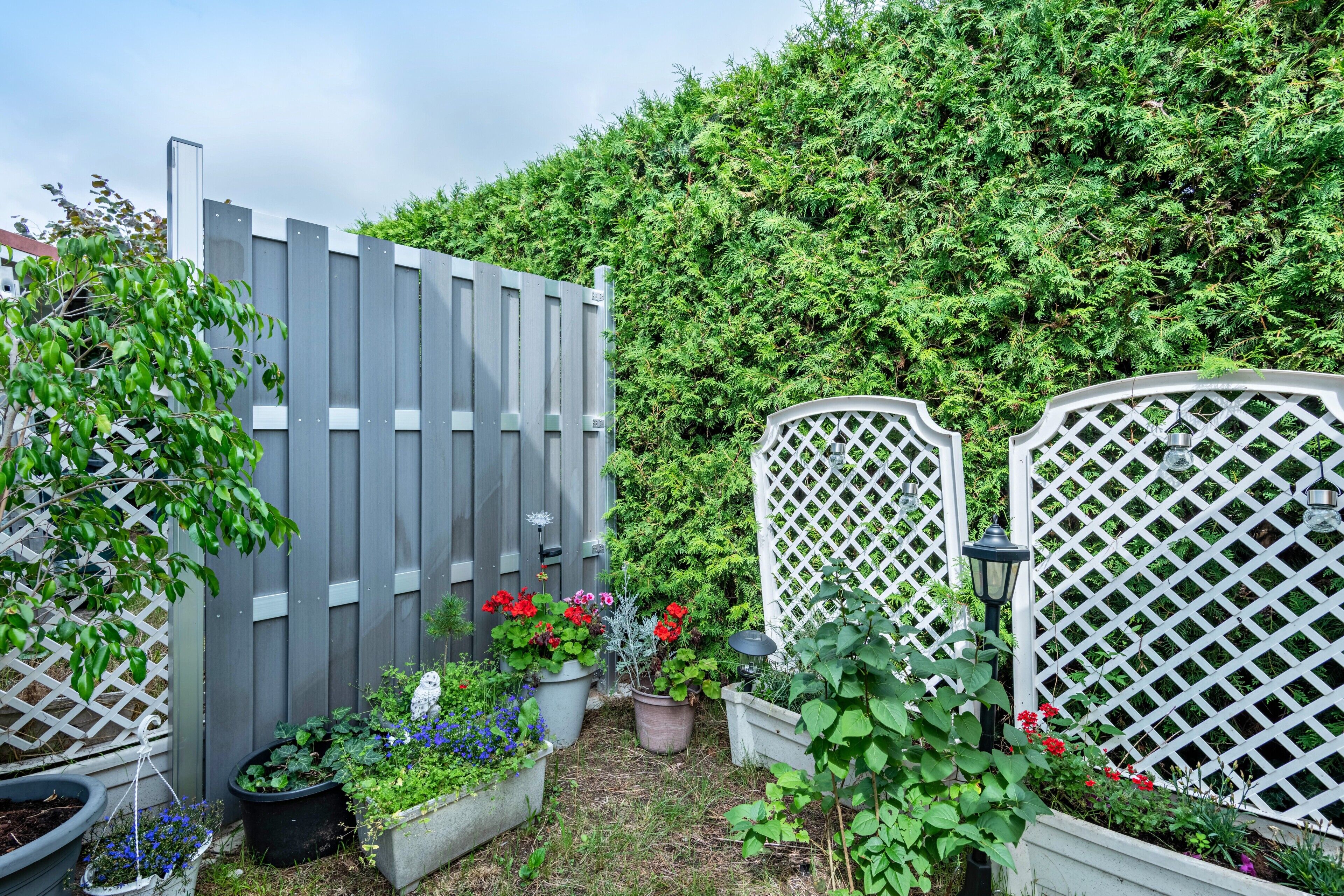 Áreas de la propiedad