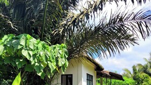 Rumah, 1 kamar tidur, Boleh Merokok, kolam renang pribadi | Halaman properti