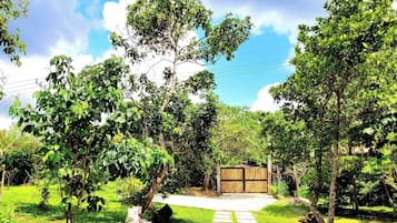 House, 1 Bedroom, Smoking, Private Pool | Property grounds