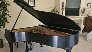 A grand piano in a room with a fireplace, a television, and a plant. - Waterfront Elegance (Discovery Bay)