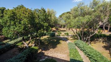 Parco della struttura