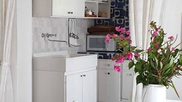 Frigorífic, microones, placa de cuina i rentaplats