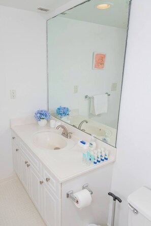 Séchoir à cheveux, serviettes fournies, savon, shampooing