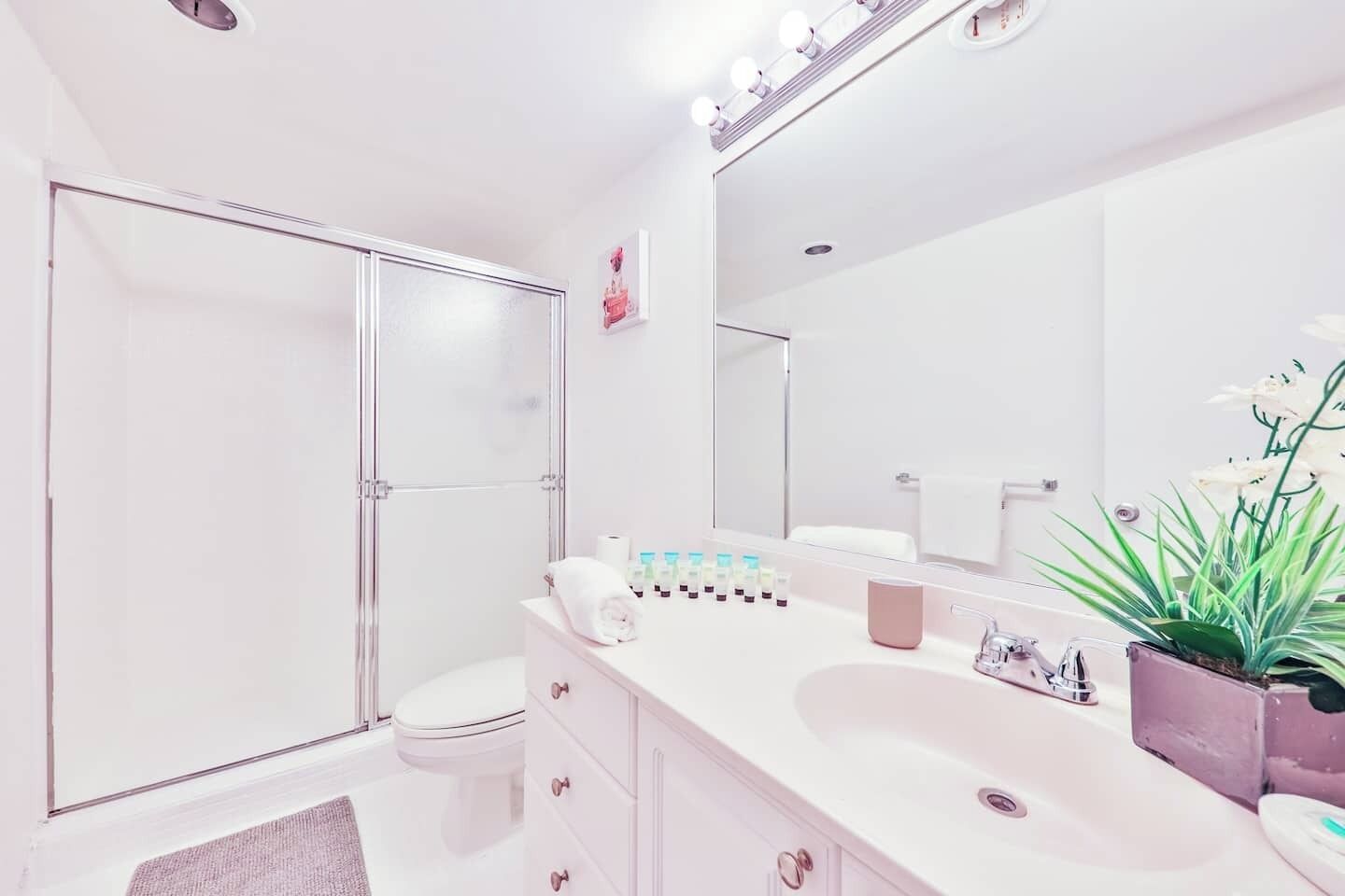 Hair dryer, towels, soap, shampoo