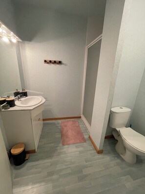 Dusche, Haartrockner, Handtücher, Toilettenpapier