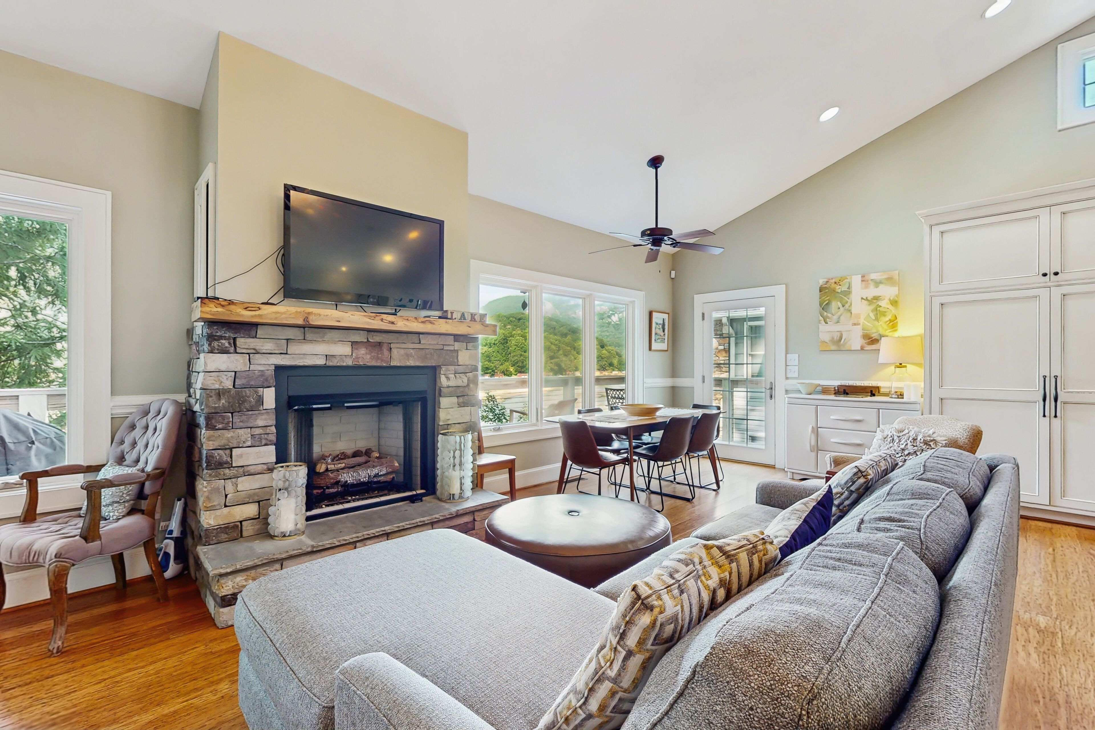 Televisión, chimenea, libros