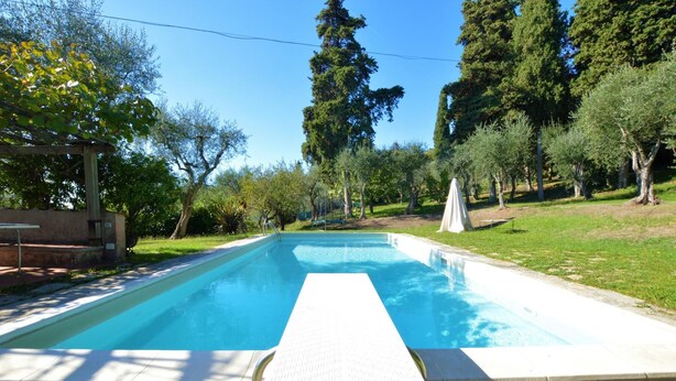 A rectangular swimming pool with a white deck edge, surrounded by trees and a grassy area.