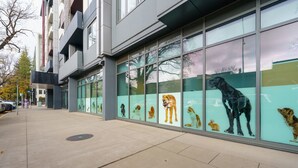 A building facade with large windows displaying various animals. - Convenient City Apartment in the Heart of Braddon (Braddon)