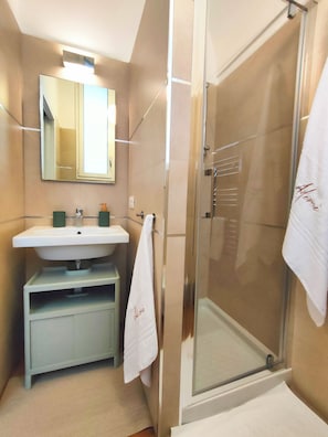 Shower, hair dryer, bidet, towels