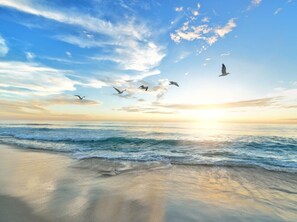 Escena de playa con olas y aves en el cielo.
