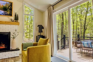 TV connectée, cheminée, livres, chaîne hi-fi