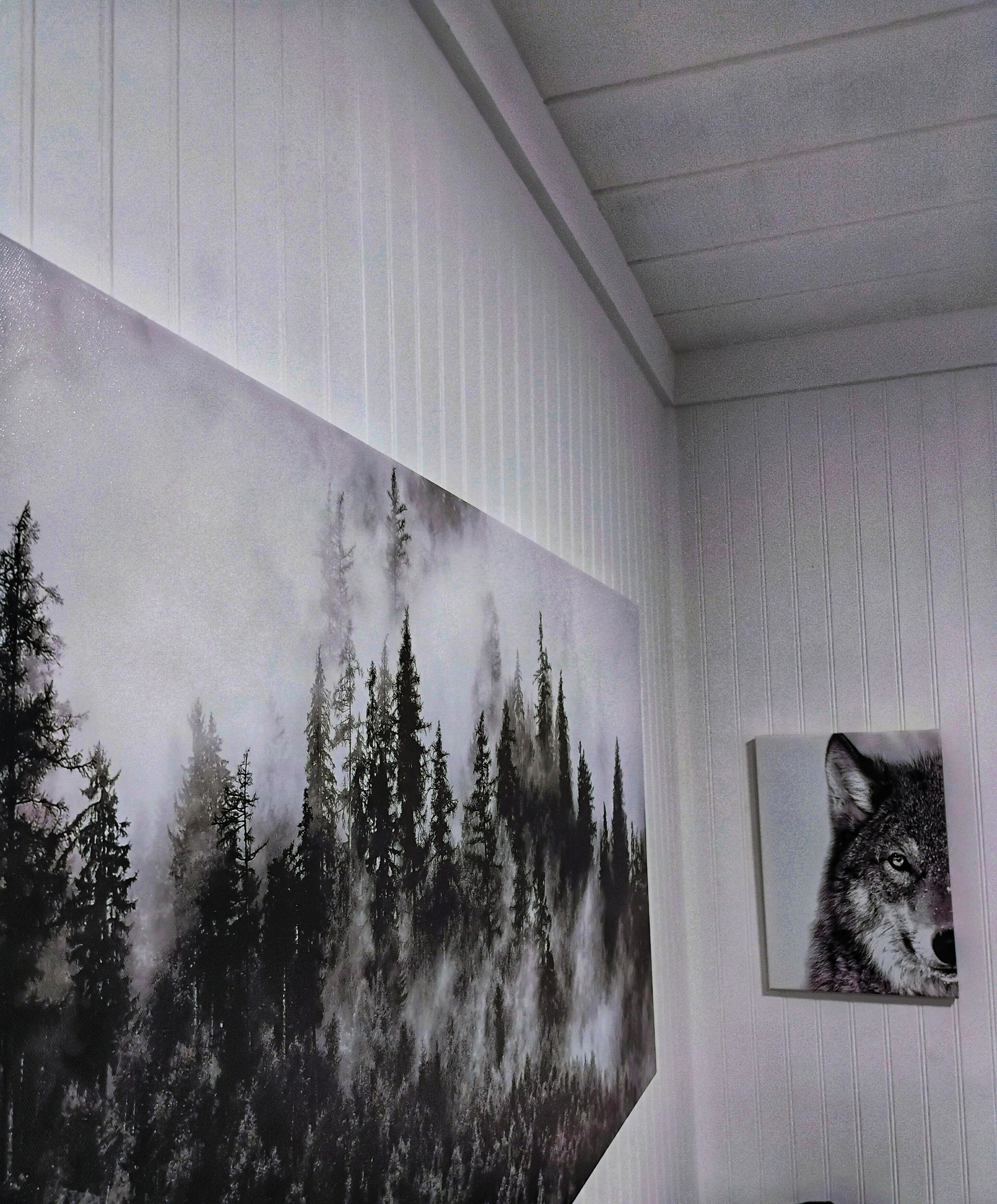 Ein Zimmer mit einem großen Wandbild zum Thema Wald und einem kleineren, gerahmten Bild eines Wolfs.
