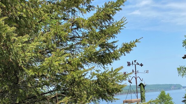 Un área junto a la piscina con vistas a un lago, rodeada de árboles y una terraza de madera.
