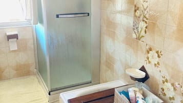 Hair dryer, bidet, towels, toilet paper