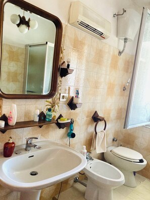 Hair dryer, bidet, towels, toilet paper