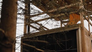 A treehouse with a bed and a window, surrounded by bare trees and a wooden structure. - Nutchel Cosy and Nature Cabin for 4 (Martelange)
