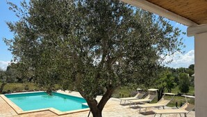 Un espace piscine agrémenté d’un arbre et de chaises longues.
