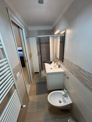 Shower, hair dryer, bidet, towels